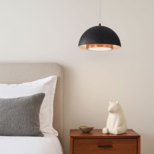 3632-12 SNB-ACR_5.jpg